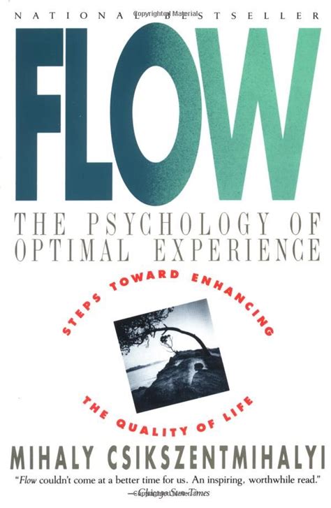  Finding Flow: The Psychology of Optimal Experience - Ein zeitloses Meisterwerk der Selbstentdeckung und des produktiven Lebens