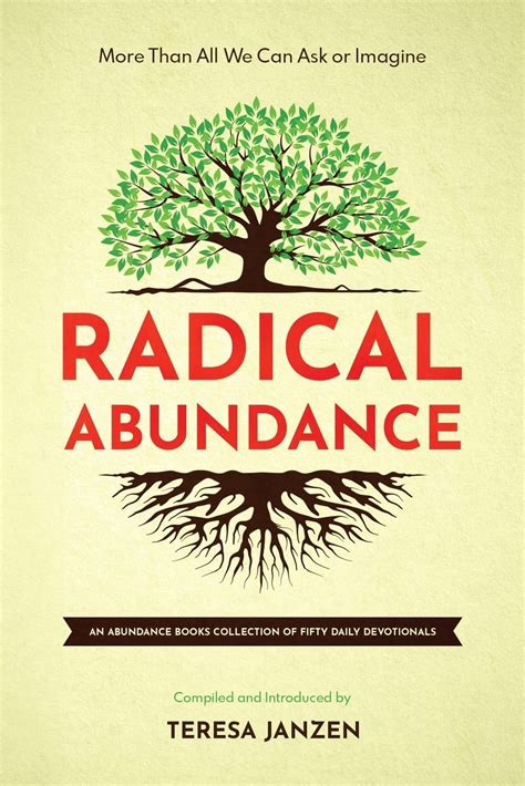 Radical Abundance: How a New Approach to Wealth Can Fund the Future – Ein Plädoyer für die Umverteilung von Ressourcen und eine Vision einer nachhaltigen Welt!