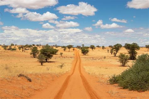  The Transfrontier Parks - Eine Ode an die grenzenlose Schönheit Südafrikas