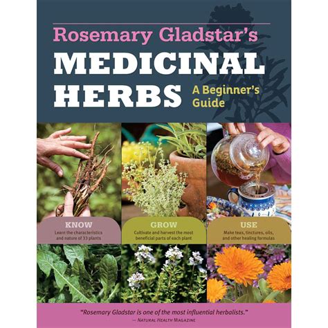  Understanding Herbs: A Practical Guide to Growing and Using Medicinal Plants - Ein Handbuch voller Pflanzenmagie und praktischer Weisheit!