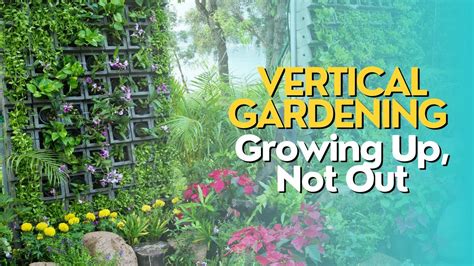 Vertical Gardening: Grow Up, Not Out - Ein Ode an die Urbanisierung der Natur und eine Symphonie grünerInnovation!